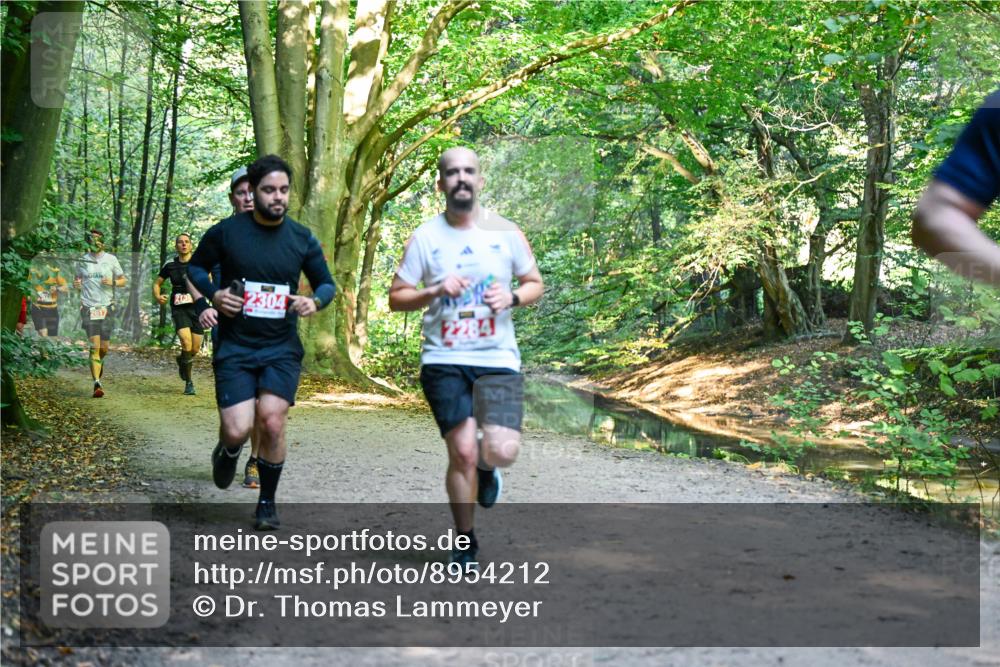 28.09.2025 - 33. Volkslauf durch das schöne Alstertal Dr. Thomas Lammeyer http://msf.ph/oto/8954212 28.09.2025 10:38:08 Laufen 2617, 213, 2304, 2284 meine-sportfotos.de