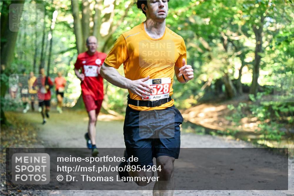 28.09.2025 - 33. Volkslauf durch das schöne Alstertal Dr. Thomas Lammeyer http://msf.ph/oto/8954264 28.09.2025 10:38:15 Laufen 528 meine-sportfotos.de