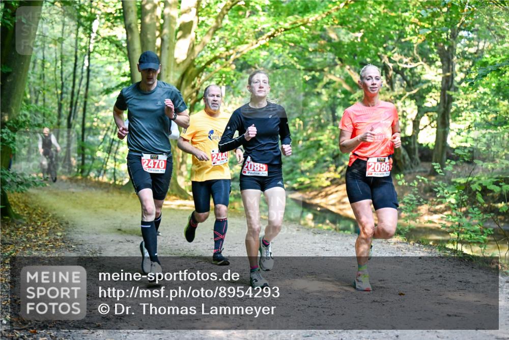 28.09.2025 - 33. Volkslauf durch das schöne Alstertal Dr. Thomas Lammeyer http://msf.ph/oto/8954293 28.09.2025 10:38:20 Laufen 2470, 2443, 2085, 2086 meine-sportfotos.de