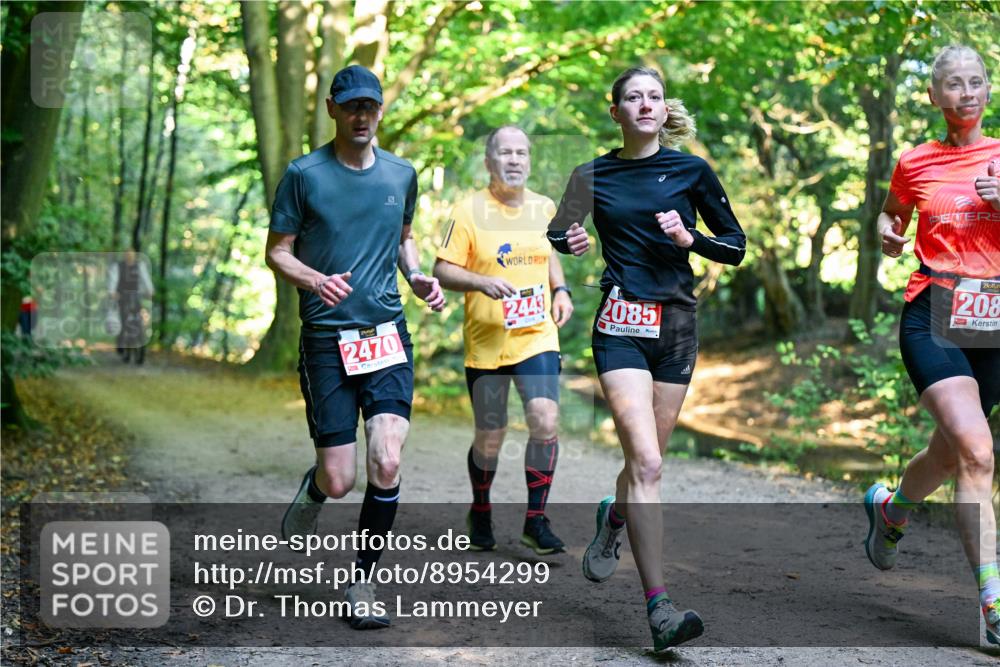 28.09.2025 - 33. Volkslauf durch das schöne Alstertal Dr. Thomas Lammeyer http://msf.ph/oto/8954299 28.09.2025 10:38:21 Laufen 2470, 244, 2085, 208 meine-sportfotos.de