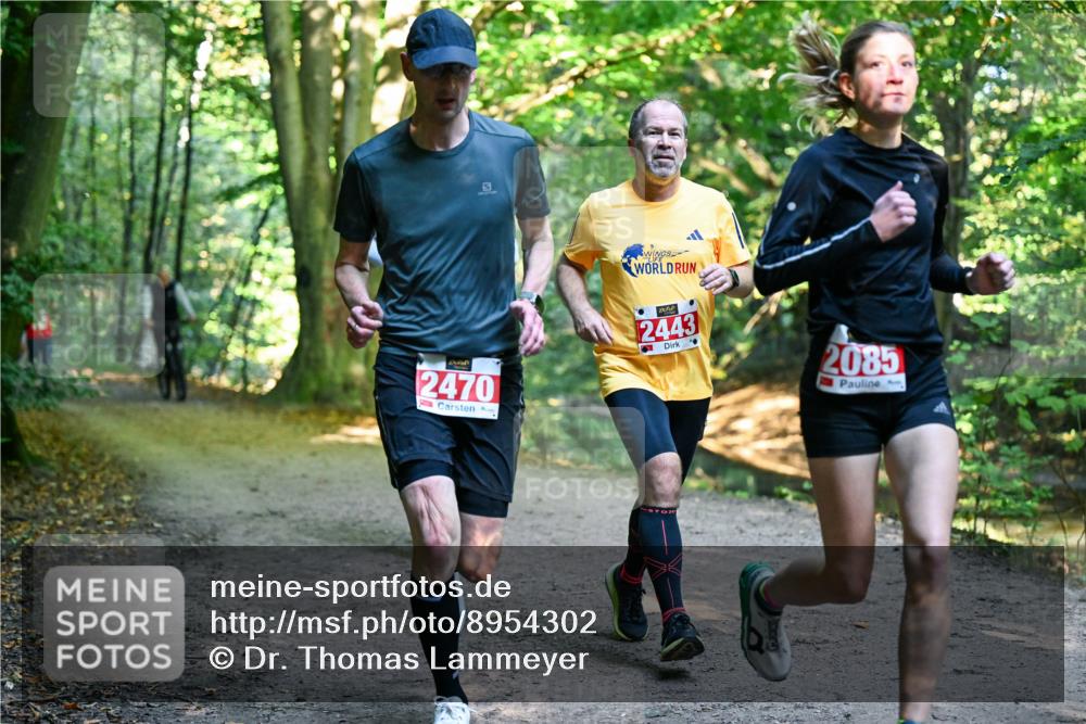 28.09.2025 - 33. Volkslauf durch das schöne Alstertal Dr. Thomas Lammeyer http://msf.ph/oto/8954302 28.09.2025 10:38:21 Laufen 2470, 2443, 2085 meine-sportfotos.de