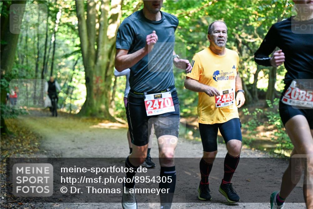 28.09.2025 - 33. Volkslauf durch das schöne Alstertal Dr. Thomas Lammeyer http://msf.ph/oto/8954305 28.09.2025 10:38:21 Laufen 2470, 2443, 2085 meine-sportfotos.de