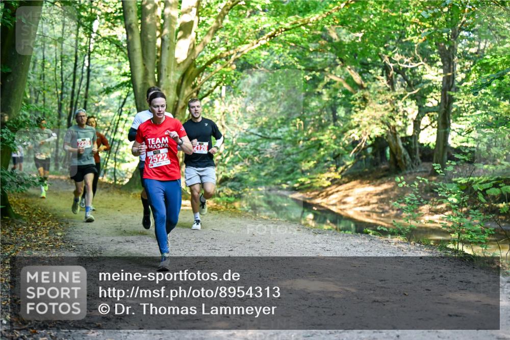 28.09.2025 - 33. Volkslauf durch das schöne Alstertal Dr. Thomas Lammeyer http://msf.ph/oto/8954313 28.09.2025 10:38:28 Laufen 2522, 2126 meine-sportfotos.de