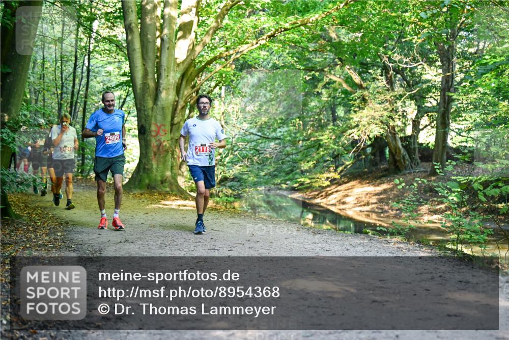 28.09.2025 - 33. Volkslauf durch das schöne Alstertal Dr. Thomas Lammeyer http://msf.ph/oto/8954368 28.09.2025 10:38:35 Laufen 2424, 2999 meine-sportfotos.de