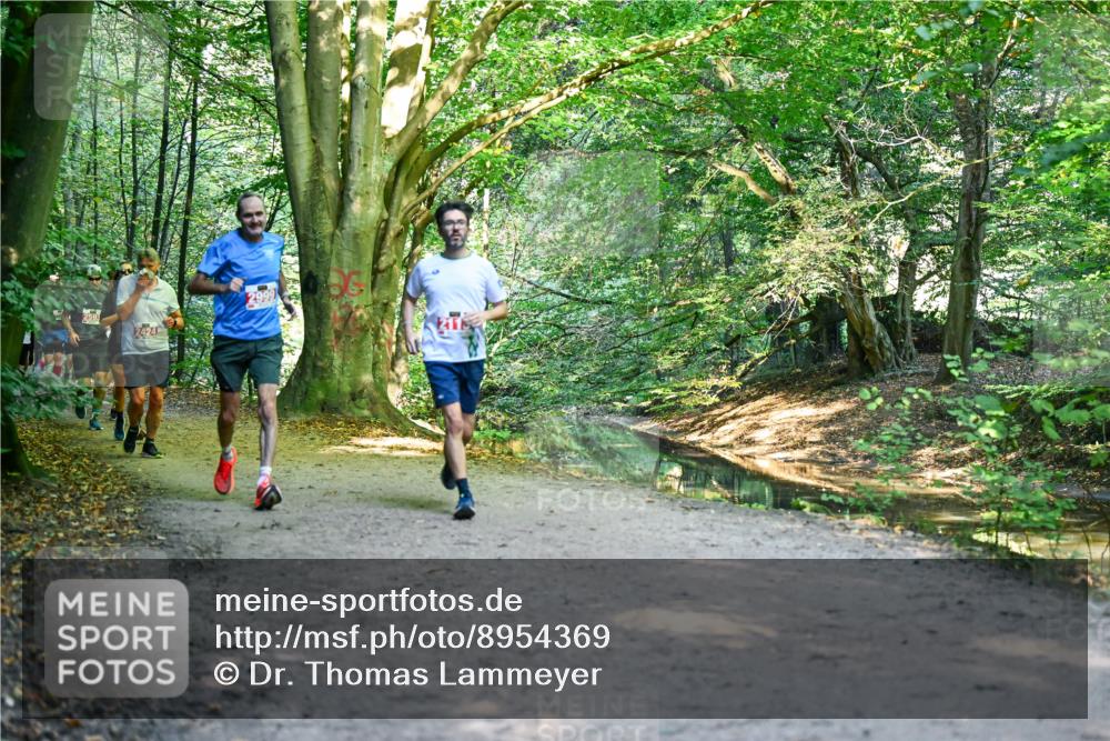 28.09.2025 - 33. Volkslauf durch das schöne Alstertal Dr. Thomas Lammeyer http://msf.ph/oto/8954369 28.09.2025 10:38:35 Laufen 2593, 2424, 2999 meine-sportfotos.de