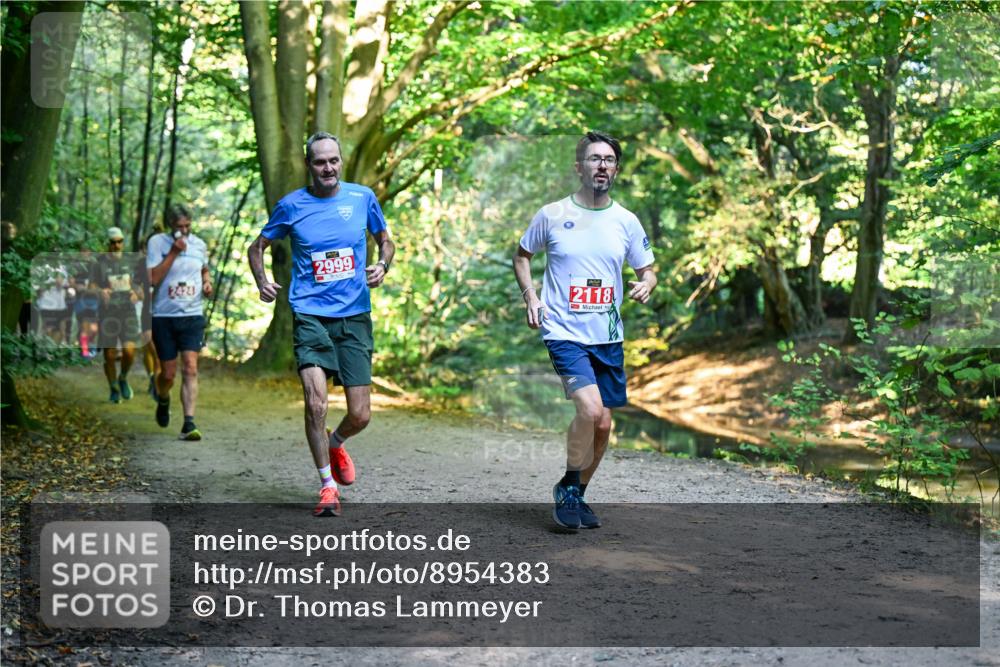 28.09.2025 - 33. Volkslauf durch das schöne Alstertal Dr. Thomas Lammeyer http://msf.ph/oto/8954383 28.09.2025 10:38:36 Laufen 2424, 2999, 2118 meine-sportfotos.de