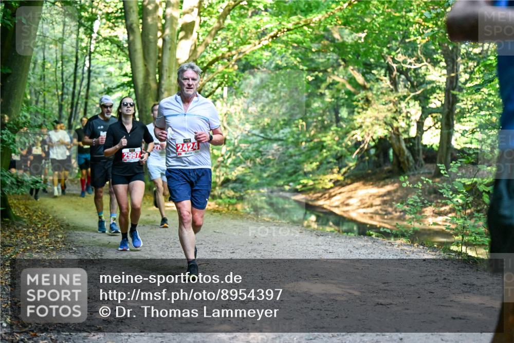 28.09.2025 - 33. Volkslauf durch das schöne Alstertal Dr. Thomas Lammeyer http://msf.ph/oto/8954397 28.09.2025 10:38:39 Laufen 29972424 meine-sportfotos.de