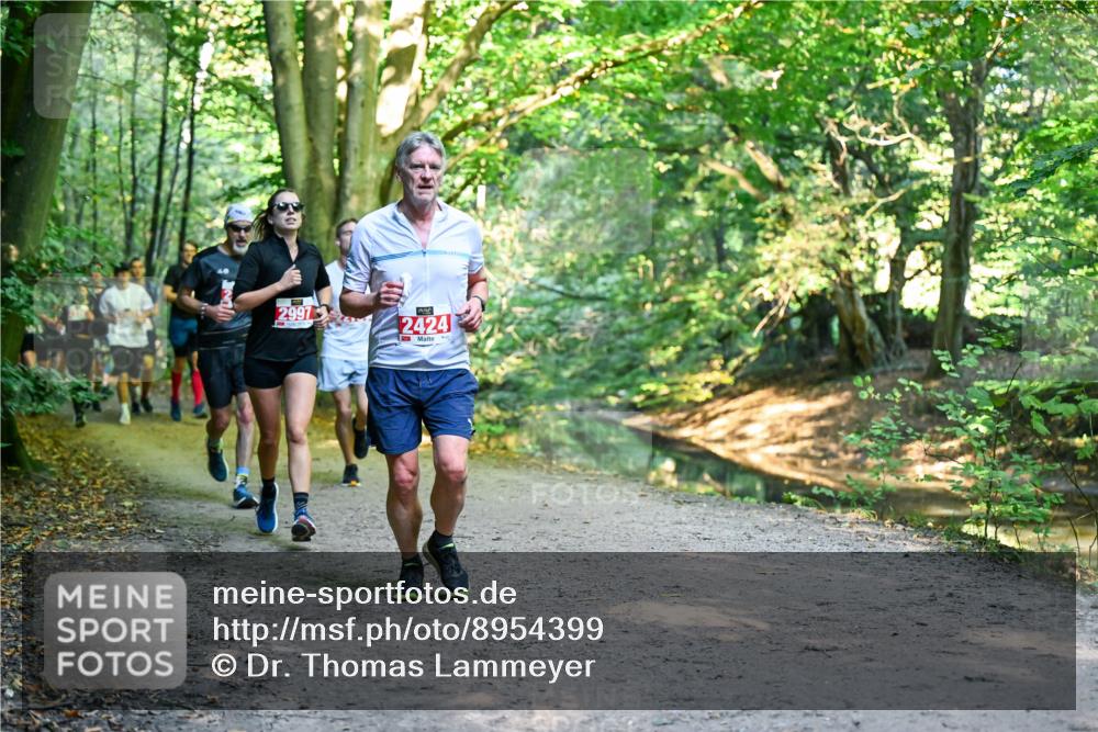 28.09.2025 - 33. Volkslauf durch das schöne Alstertal Dr. Thomas Lammeyer http://msf.ph/oto/8954399 28.09.2025 10:38:39 Laufen 2997, 2424 meine-sportfotos.de