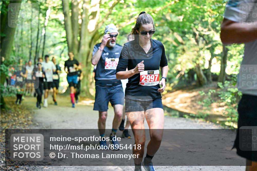 28.09.2025 - 33. Volkslauf durch das schöne Alstertal Dr. Thomas Lammeyer http://msf.ph/oto/8954418 28.09.2025 10:38:41 Laufen 2997 meine-sportfotos.de