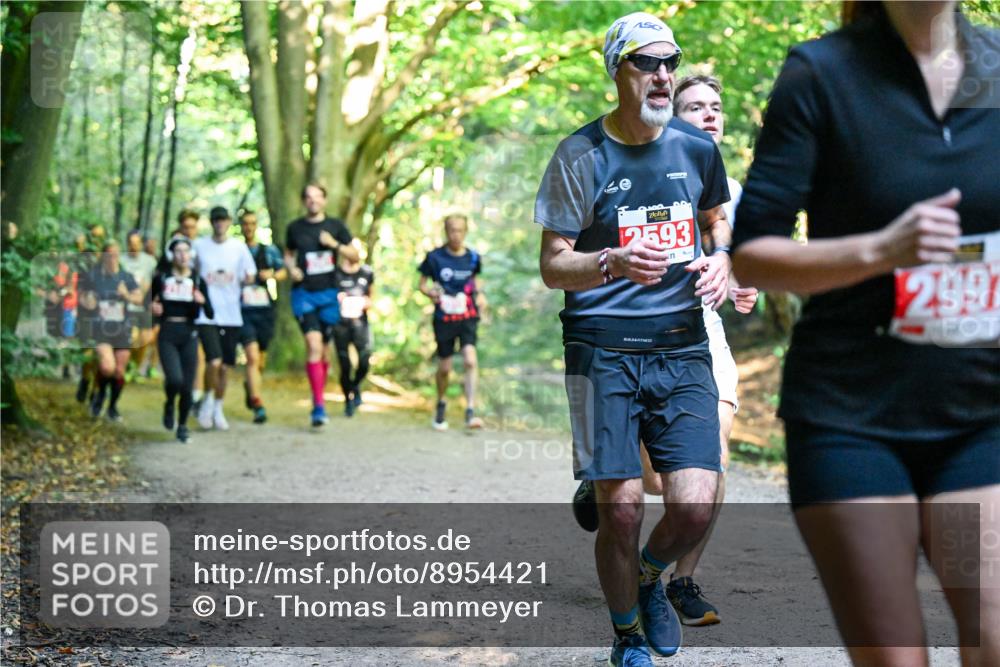28.09.2025 - 33. Volkslauf durch das schöne Alstertal Dr. Thomas Lammeyer http://msf.ph/oto/8954421 28.09.2025 10:38:42 Laufen 2593, 2997 meine-sportfotos.de