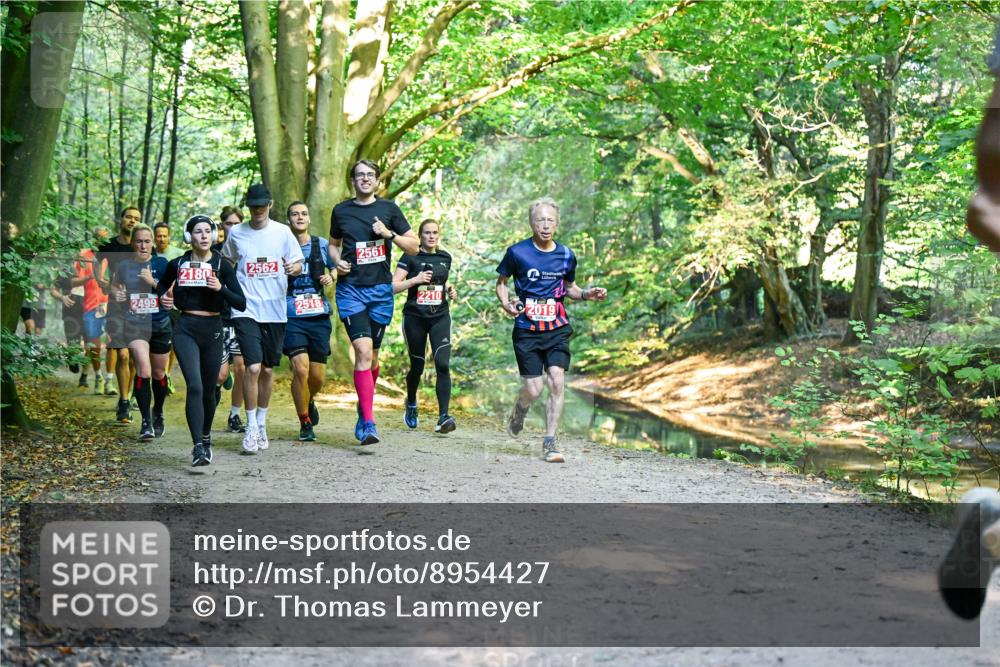 28.09.2025 - 33. Volkslauf durch das schöne Alstertal Dr. Thomas Lammeyer http://msf.ph/oto/8954427 28.09.2025 10:38:43 Laufen 2180, 2562, 2518, 2561, 2210, 2019 meine-sportfotos.de