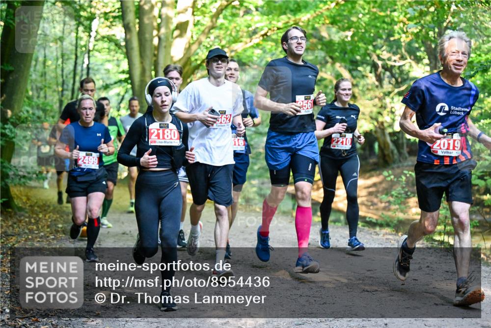28.09.2025 - 33. Volkslauf durch das schöne Alstertal Dr. Thomas Lammeyer http://msf.ph/oto/8954436 28.09.2025 10:38:45 Laufen 40, 2499, 2180, 562, 256, 2210, 2019 meine-sportfotos.de