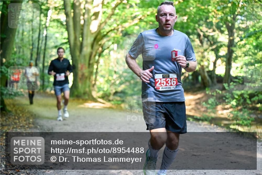 28.09.2025 - 33. Volkslauf durch das schöne Alstertal Dr. Thomas Lammeyer http://msf.ph/oto/8954488 28.09.2025 10:38:51 Laufen 2536 meine-sportfotos.de