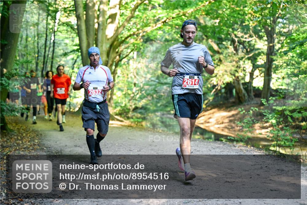28.09.2025 - 33. Volkslauf durch das schöne Alstertal Dr. Thomas Lammeyer http://msf.ph/oto/8954516 28.09.2025 10:38:55 Laufen 2632, 2614 meine-sportfotos.de