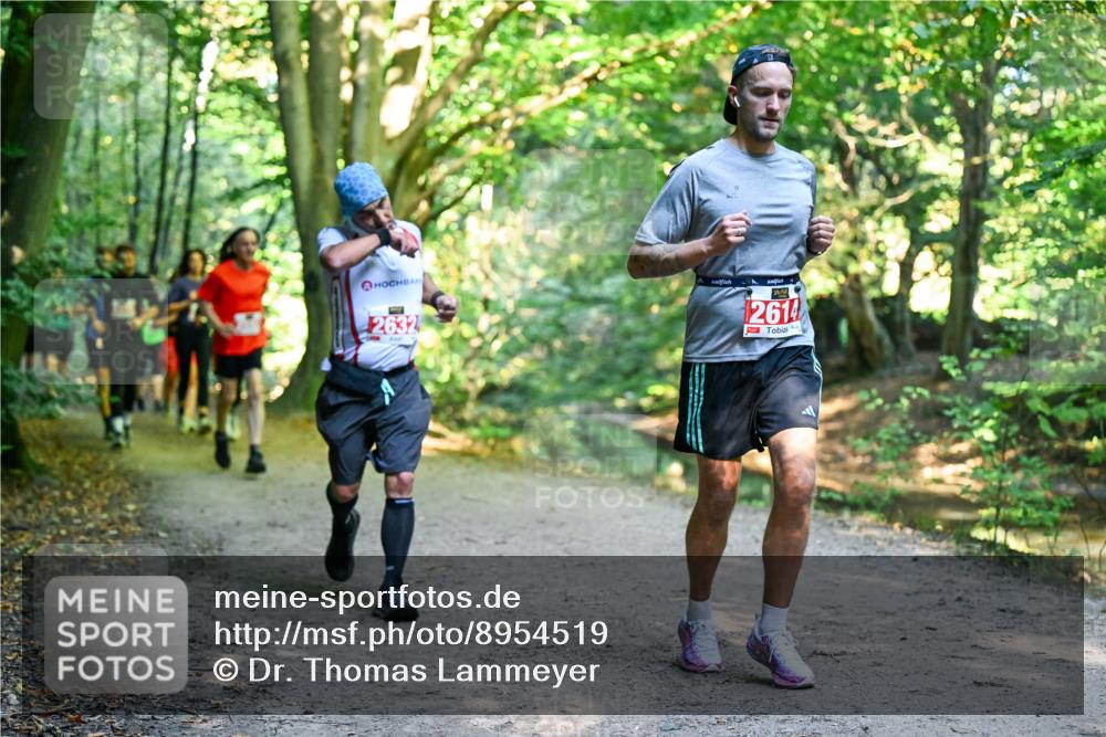 28.09.2025 - 33. Volkslauf durch das schöne Alstertal Dr. Thomas Lammeyer http://msf.ph/oto/8954519 28.09.2025 10:38:55 Laufen 2632, 2614 meine-sportfotos.de