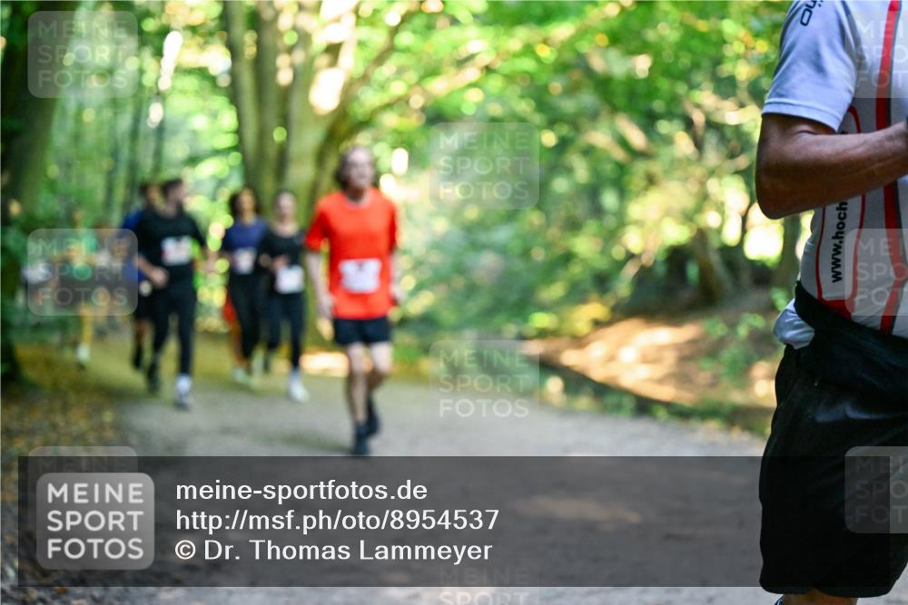 28.09.2025 - 33. Volkslauf durch das schöne Alstertal Dr. Thomas Lammeyer http://msf.ph/oto/8954537 28.09.2025 10:38:57 Laufen  meine-sportfotos.de