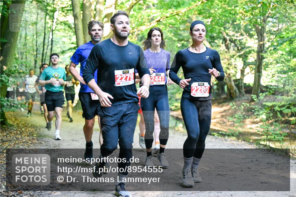 28.09.2025 - 33. Volkslauf durch das schöne Alstertal Dr. Thomas Lammeyer http://msf.ph/oto/8954555 28.09.2025 10:39:00 Laufen 2279, 2447, 2280 meine-sportfotos.de