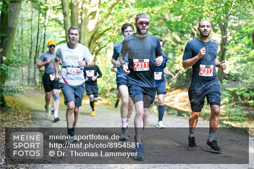 28.09.2025 - 33. Volkslauf durch das schöne Alstertal Dr. Thomas Lammeyer http://msf.ph/oto/8954581 28.09.2025 10:39:05 Laufen 2311, 680, 2313 meine-sportfotos.de