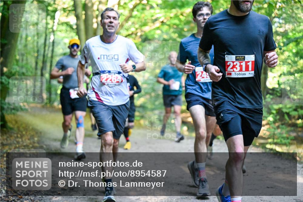 28.09.2025 - 33. Volkslauf durch das schöne Alstertal Dr. Thomas Lammeyer http://msf.ph/oto/8954587 28.09.2025 10:39:05 Laufen 2264, 24, 2311 meine-sportfotos.de