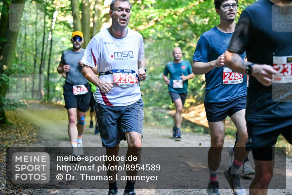 28.09.2025 - 33. Volkslauf durch das schöne Alstertal Dr. Thomas Lammeyer http://msf.ph/oto/8954589 28.09.2025 10:39:06 Laufen 2264, 2450, 23 meine-sportfotos.de