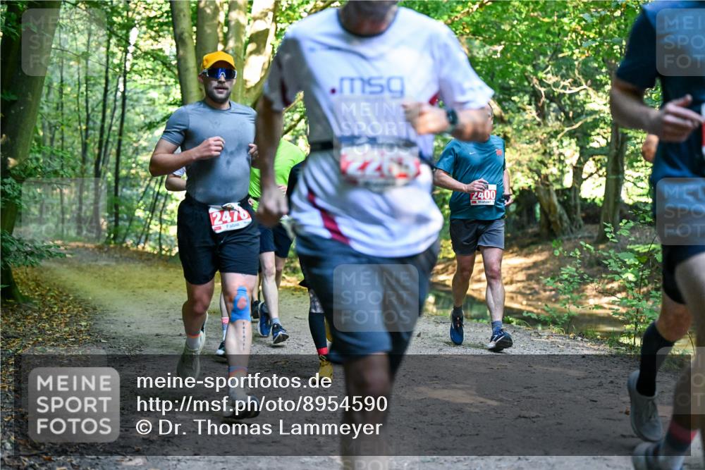 28.09.2025 - 33. Volkslauf durch das schöne Alstertal Dr. Thomas Lammeyer http://msf.ph/oto/8954590 28.09.2025 10:39:06 Laufen 2470, 2400 meine-sportfotos.de