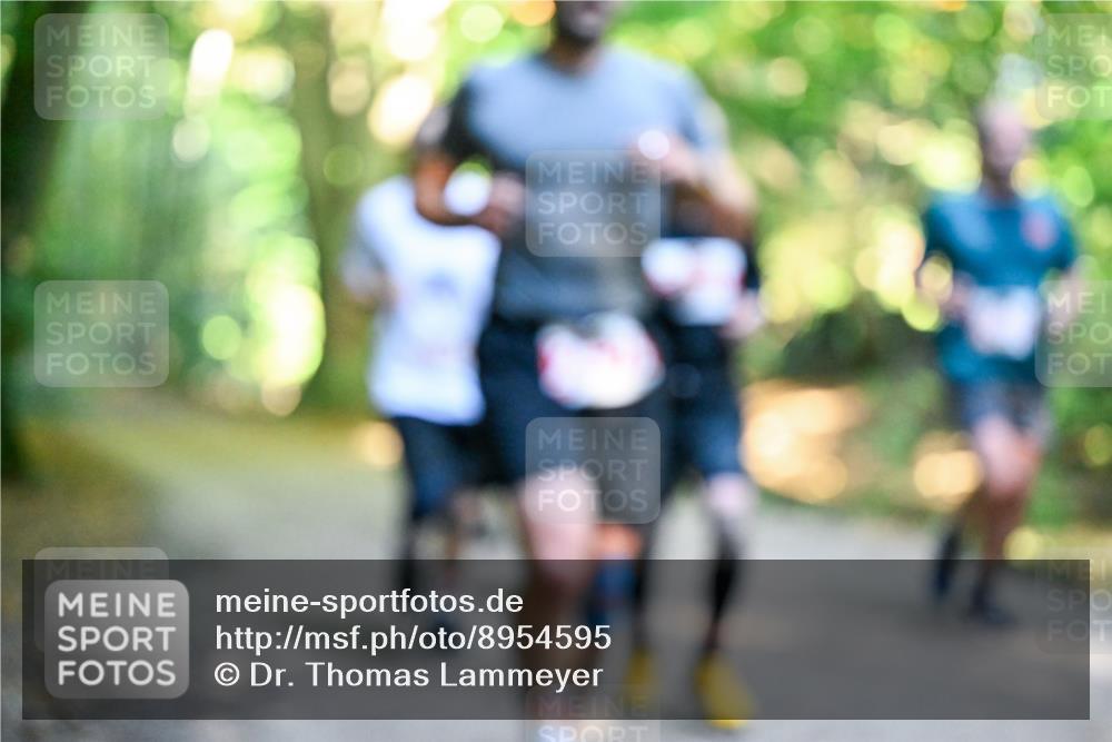 28.09.2025 - 33. Volkslauf durch das schöne Alstertal Dr. Thomas Lammeyer http://msf.ph/oto/8954595 28.09.2025 10:39:07 Laufen  meine-sportfotos.de