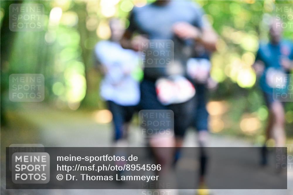 28.09.2025 - 33. Volkslauf durch das schöne Alstertal Dr. Thomas Lammeyer http://msf.ph/oto/8954596 28.09.2025 10:39:07 Laufen  meine-sportfotos.de