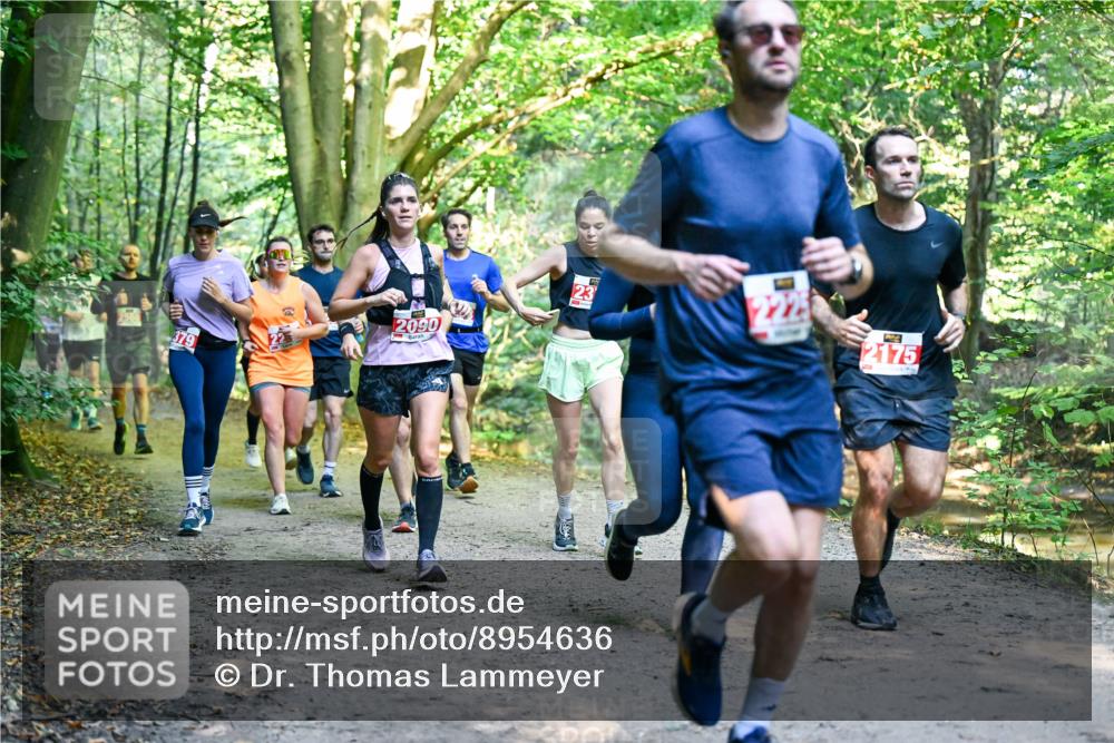 28.09.2025 - 33. Volkslauf durch das schöne Alstertal Dr. Thomas Lammeyer http://msf.ph/oto/8954636 28.09.2025 10:39:21 Laufen 2090, 2, 23, 225, 2175 meine-sportfotos.de