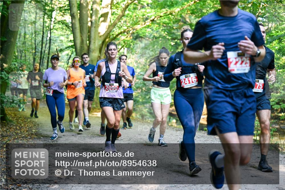 28.09.2025 - 33. Volkslauf durch das schöne Alstertal Dr. Thomas Lammeyer http://msf.ph/oto/8954638 28.09.2025 10:39:21 Laufen 379, 2090, 2416, 1, 71, 2225, 75 meine-sportfotos.de