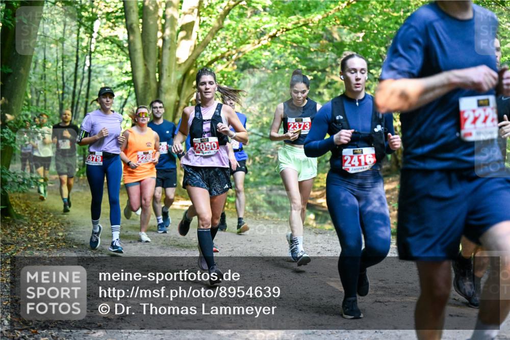 28.09.2025 - 33. Volkslauf durch das schöne Alstertal Dr. Thomas Lammeyer http://msf.ph/oto/8954639 28.09.2025 10:39:21 Laufen 2379, 20, 22897, 2090, 2373, 2416 meine-sportfotos.de