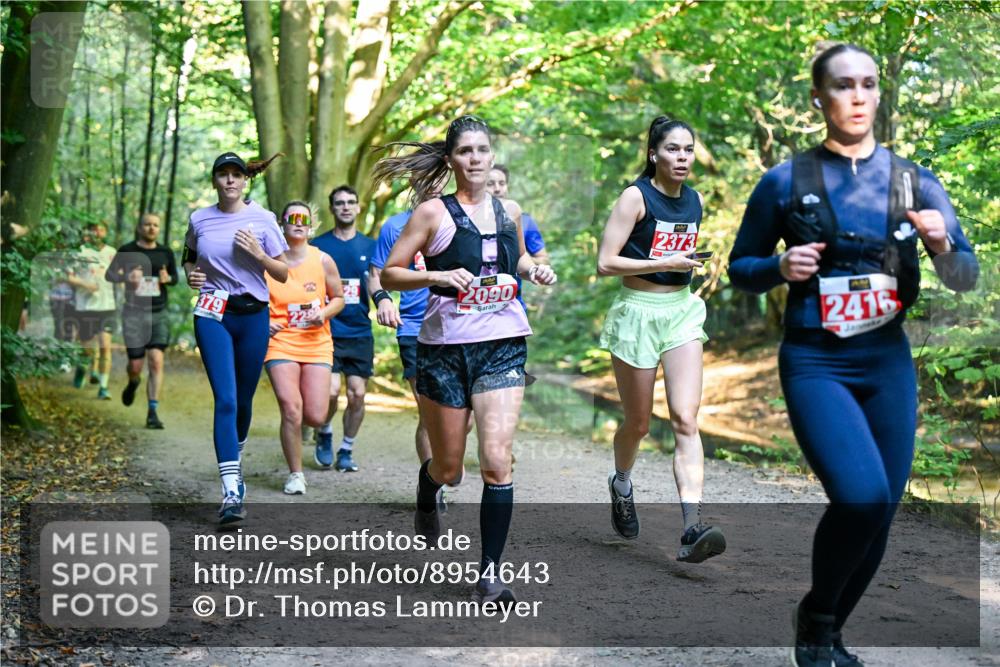 28.09.2025 - 33. Volkslauf durch das schöne Alstertal Dr. Thomas Lammeyer http://msf.ph/oto/8954643 28.09.2025 10:39:22 Laufen 379, 2090, 2373, 2416 meine-sportfotos.de