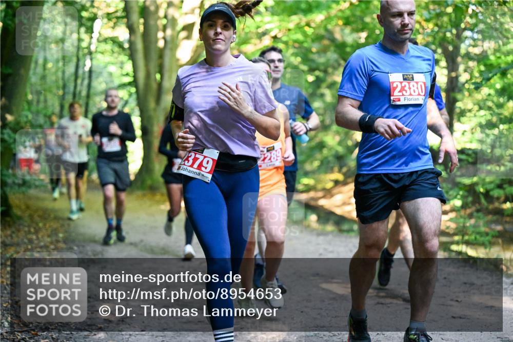 28.09.2025 - 33. Volkslauf durch das schöne Alstertal Dr. Thomas Lammeyer http://msf.ph/oto/8954653 28.09.2025 10:39:23 Laufen 379, 2289, 2380 meine-sportfotos.de