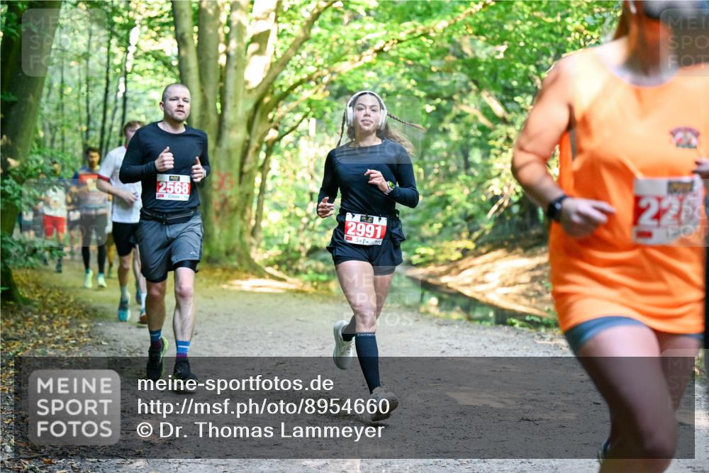 28.09.2025 - 33. Volkslauf durch das schöne Alstertal Dr. Thomas Lammeyer http://msf.ph/oto/8954660 28.09.2025 10:39:24 Laufen 2568, 2991, 22 meine-sportfotos.de