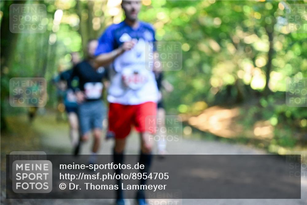 28.09.2025 - 33. Volkslauf durch das schöne Alstertal Dr. Thomas Lammeyer http://msf.ph/oto/8954705 28.09.2025 10:39:31 Laufen  meine-sportfotos.de