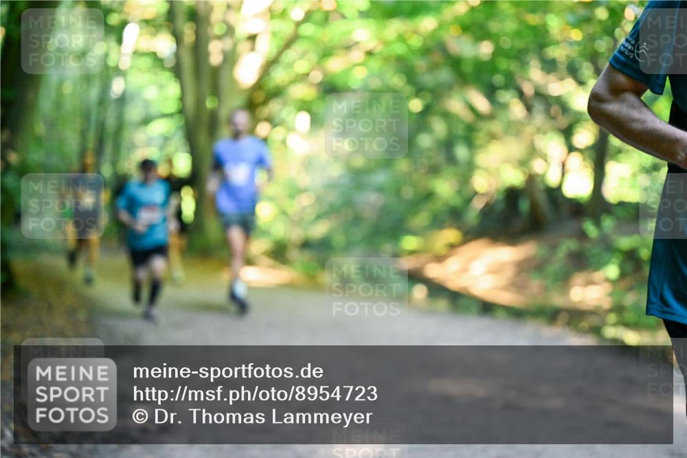 28.09.2025 - 33. Volkslauf durch das schöne Alstertal Dr. Thomas Lammeyer http://msf.ph/oto/8954723 28.09.2025 10:39:34 Laufen  meine-sportfotos.de