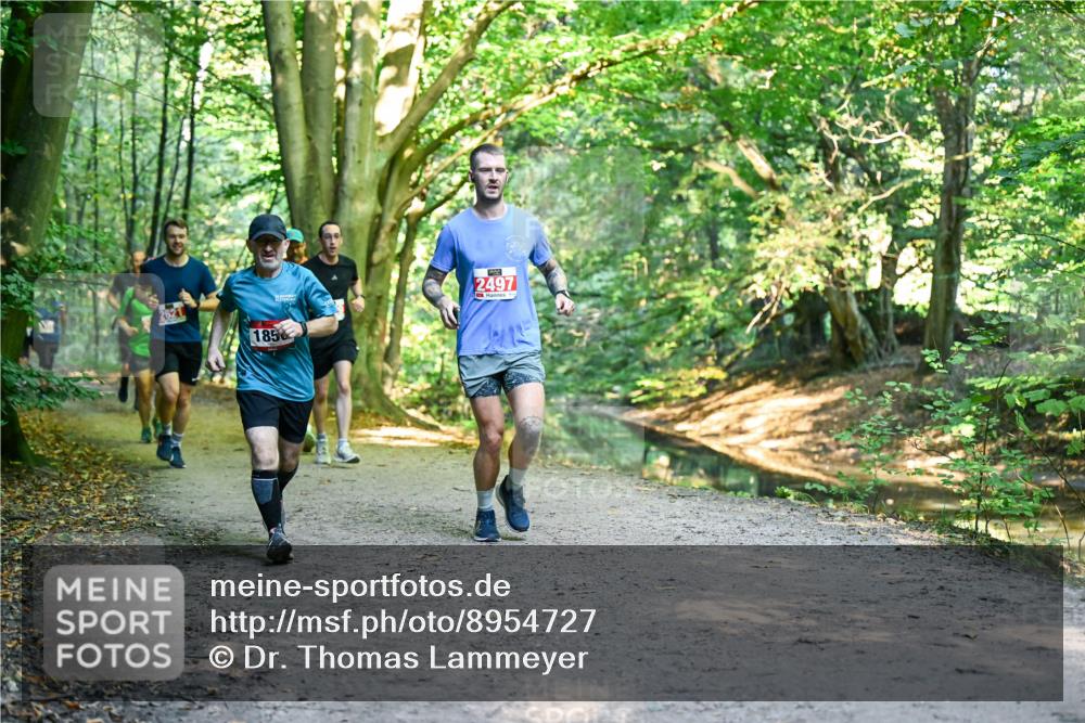 28.09.2025 - 33. Volkslauf durch das schöne Alstertal Dr. Thomas Lammeyer http://msf.ph/oto/8954727 28.09.2025 10:39:35 Laufen 185, 2497 meine-sportfotos.de