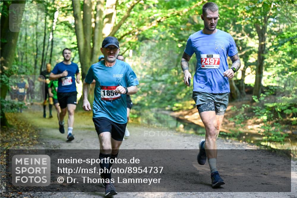 28.09.2025 - 33. Volkslauf durch das schöne Alstertal Dr. Thomas Lammeyer http://msf.ph/oto/8954737 28.09.2025 10:39:36 Laufen 32, 1850, 2497 meine-sportfotos.de