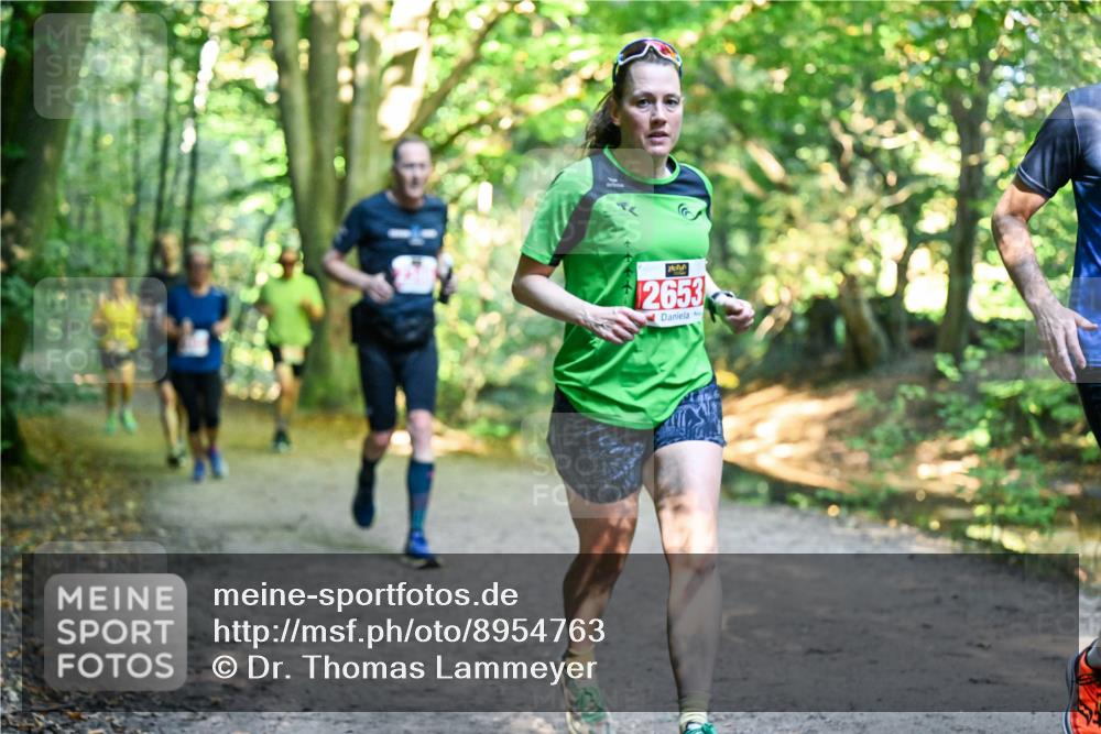 28.09.2025 - 33. Volkslauf durch das schöne Alstertal Dr. Thomas Lammeyer http://msf.ph/oto/8954763 28.09.2025 10:39:39 Laufen 2653 meine-sportfotos.de