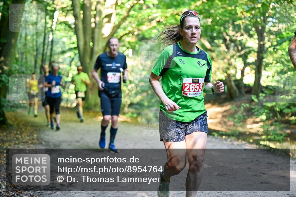 28.09.2025 - 33. Volkslauf durch das schöne Alstertal Dr. Thomas Lammeyer http://msf.ph/oto/8954764 28.09.2025 10:39:40 Laufen 2653 meine-sportfotos.de