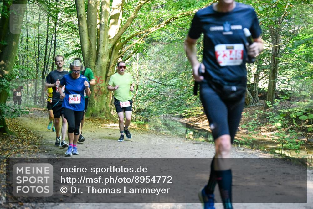 28.09.2025 - 33. Volkslauf durch das schöne Alstertal Dr. Thomas Lammeyer http://msf.ph/oto/8954772 28.09.2025 10:39:41 Laufen 2315, 2072, 2346 meine-sportfotos.de