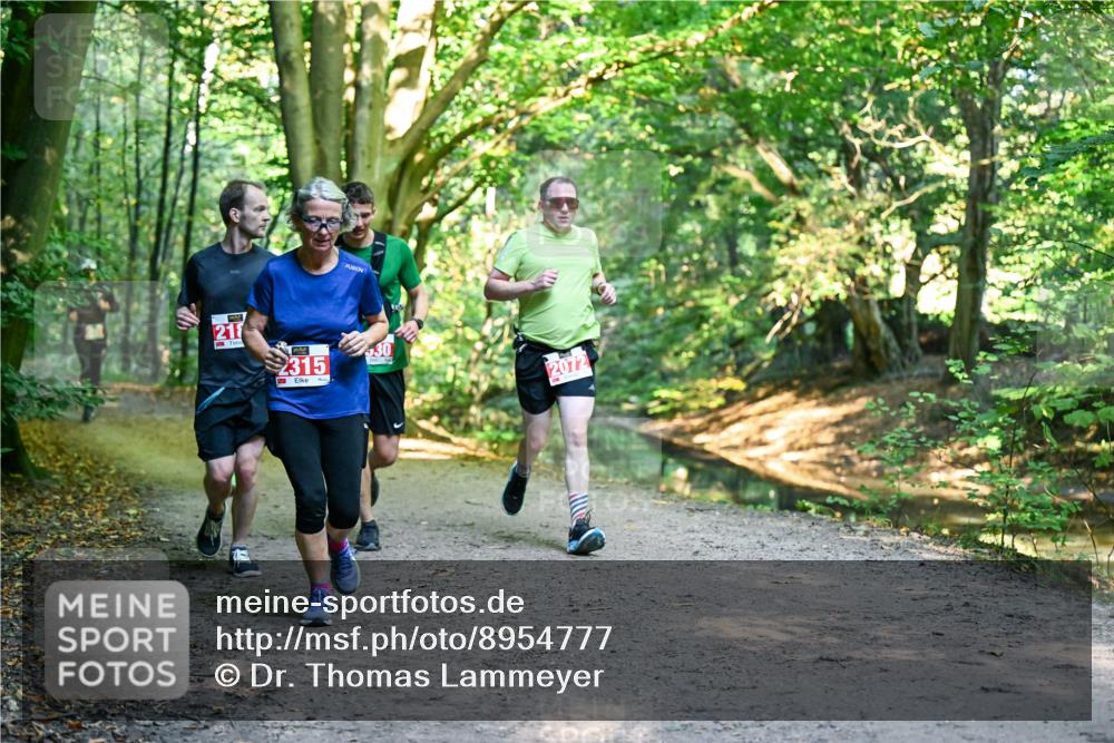 28.09.2025 - 33. Volkslauf durch das schöne Alstertal Dr. Thomas Lammeyer http://msf.ph/oto/8954777 28.09.2025 10:39:42 Laufen 217, 2315, 30, 2072 meine-sportfotos.de