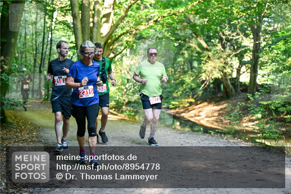 28.09.2025 - 33. Volkslauf durch das schöne Alstertal Dr. Thomas Lammeyer http://msf.ph/oto/8954778 28.09.2025 10:39:42 Laufen 2181, 2315, 2530, 2072 meine-sportfotos.de