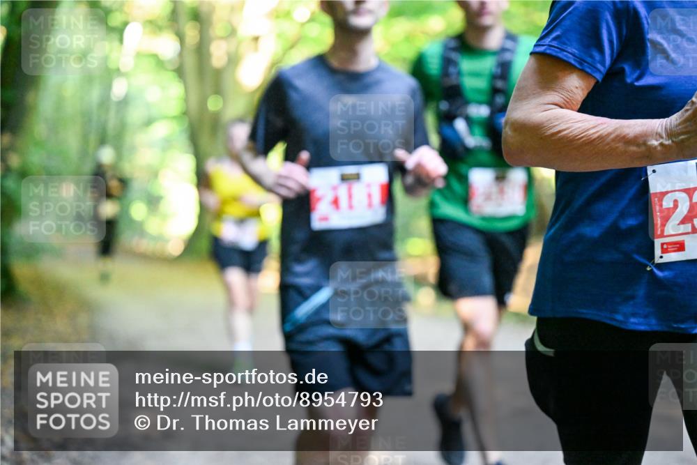 28.09.2025 - 33. Volkslauf durch das schöne Alstertal Dr. Thomas Lammeyer http://msf.ph/oto/8954793 28.09.2025 10:39:44 Laufen 2 meine-sportfotos.de