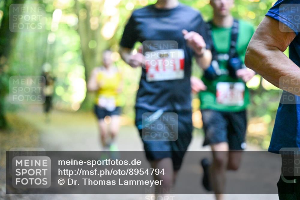 28.09.2025 - 33. Volkslauf durch das schöne Alstertal Dr. Thomas Lammeyer http://msf.ph/oto/8954794 28.09.2025 10:39:44 Laufen  meine-sportfotos.de
