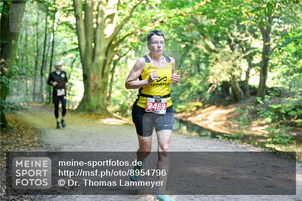 28.09.2025 - 33. Volkslauf durch das schöne Alstertal Dr. Thomas Lammeyer http://msf.ph/oto/8954796 28.09.2025 10:39:45 Laufen 2469 meine-sportfotos.de