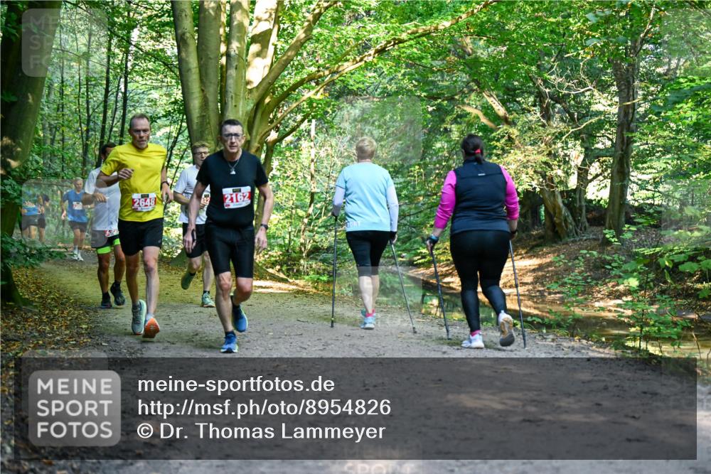 28.09.2025 - 33. Volkslauf durch das schöne Alstertal Dr. Thomas Lammeyer http://msf.ph/oto/8954826 28.09.2025 10:39:55 Laufen 2648, 2162 meine-sportfotos.de