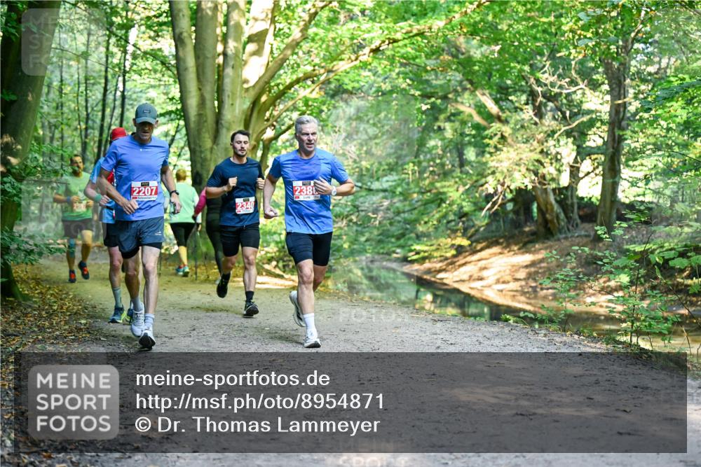 28.09.2025 - 33. Volkslauf durch das schöne Alstertal Dr. Thomas Lammeyer http://msf.ph/oto/8954871 28.09.2025 10:40:01 Laufen 2207, 2340, 2380 meine-sportfotos.de