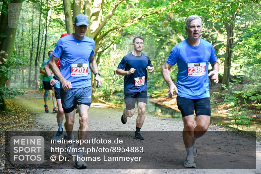 28.09.2025 - 33. Volkslauf durch das schöne Alstertal Dr. Thomas Lammeyer http://msf.ph/oto/8954883 28.09.2025 10:40:02 Laufen 2207, 2340, 2386 meine-sportfotos.de