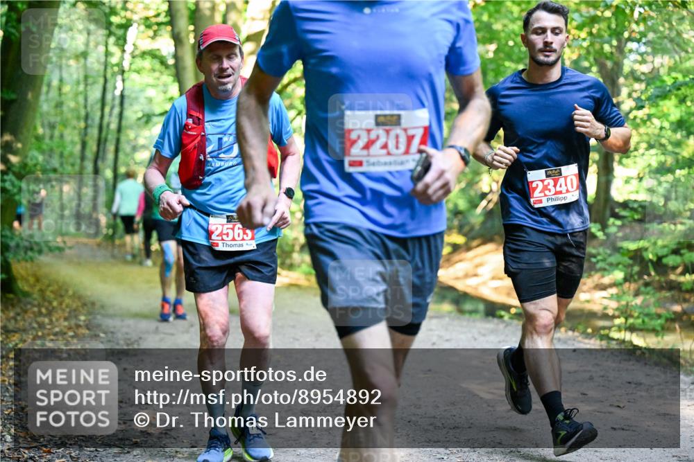 28.09.2025 - 33. Volkslauf durch das schöne Alstertal Dr. Thomas Lammeyer http://msf.ph/oto/8954892 28.09.2025 10:40:04 Laufen 2563, 2207, 2340 meine-sportfotos.de