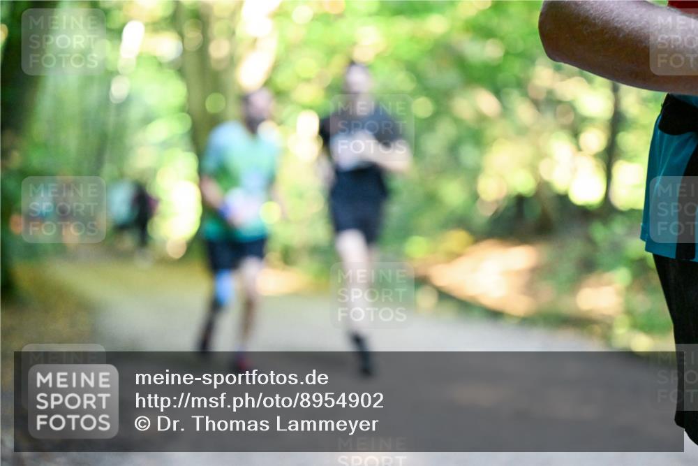 28.09.2025 - 33. Volkslauf durch das schöne Alstertal Dr. Thomas Lammeyer http://msf.ph/oto/8954902 28.09.2025 10:40:05 Laufen  meine-sportfotos.de